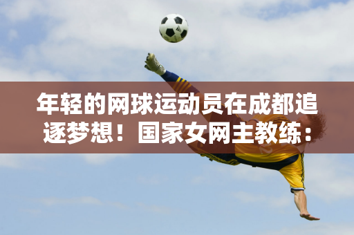 守兼備的中