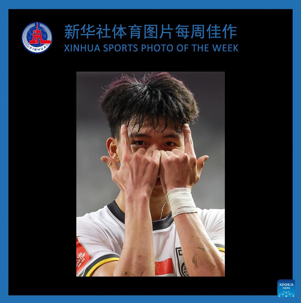 发迅速找回